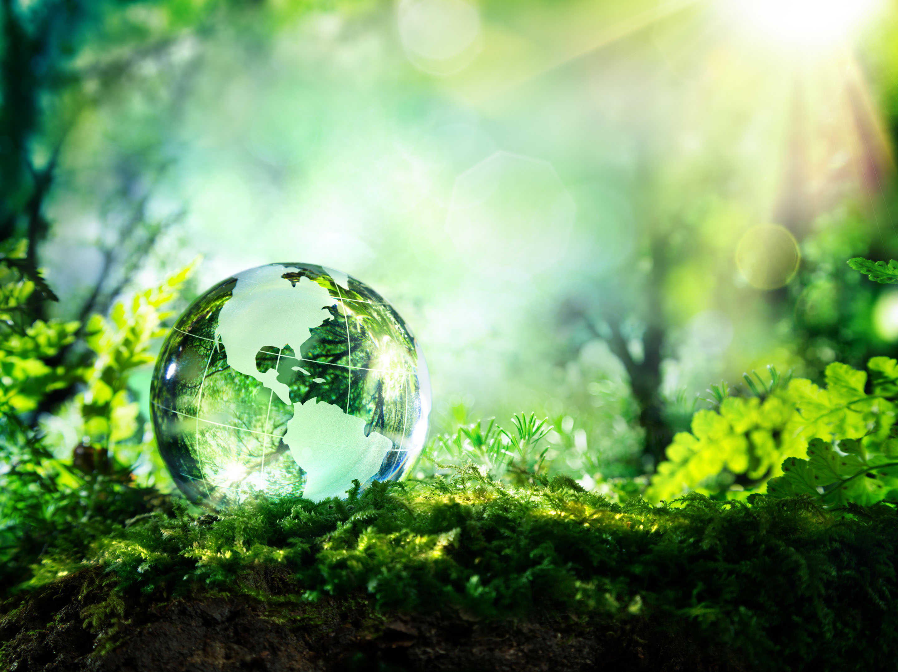glass earth globe on grass